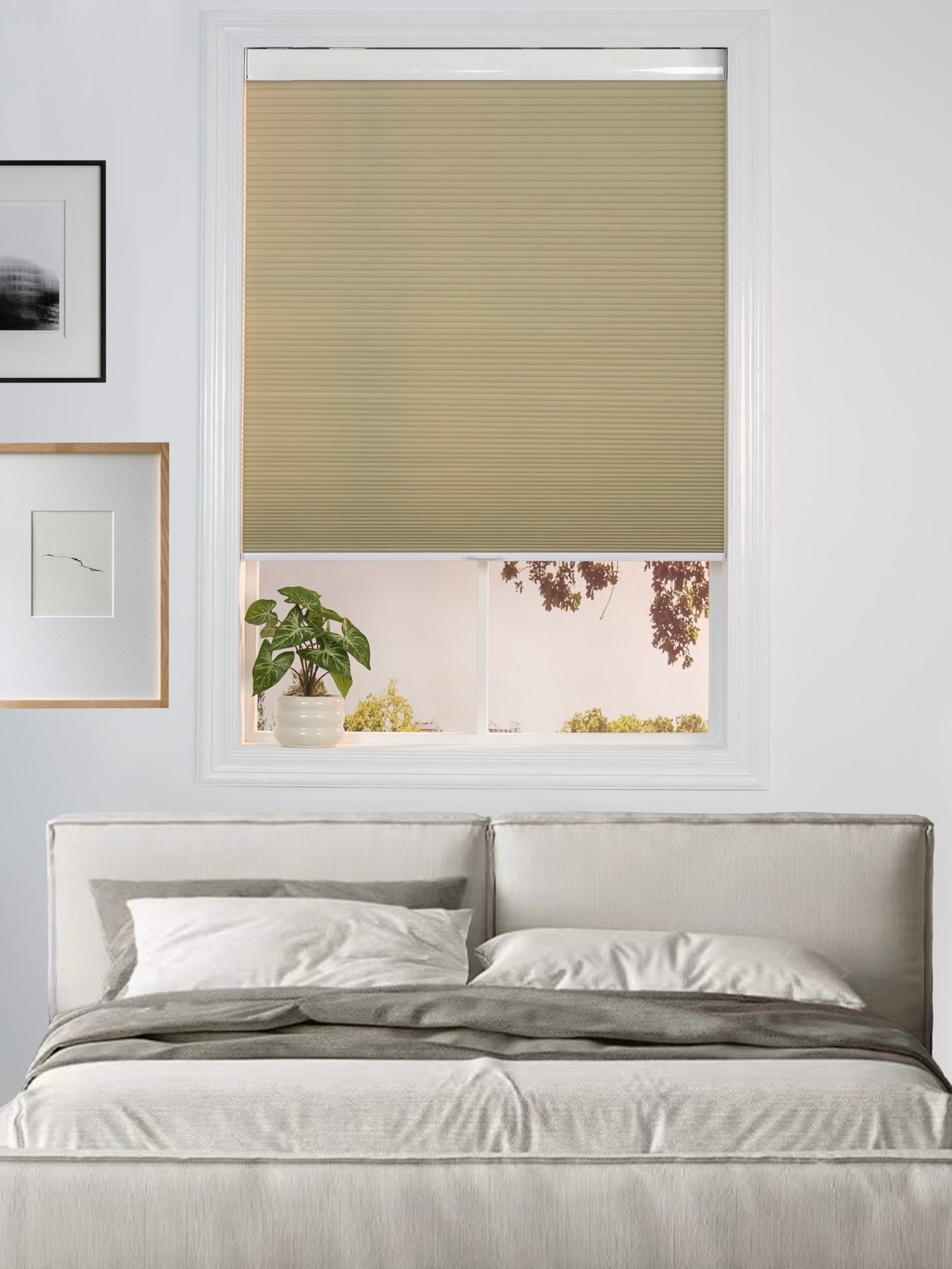 Lumistria Series Honeycomb Blinds