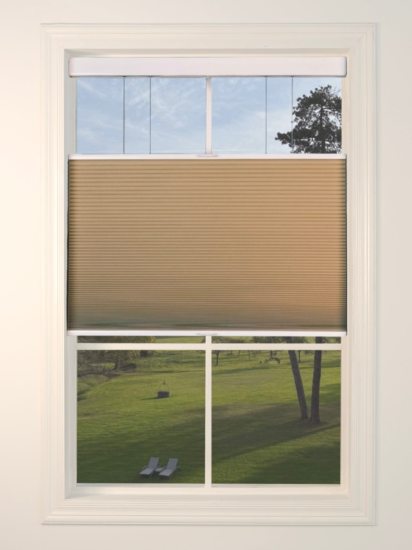 Top Down Bottom Up Honeycomb Blinds